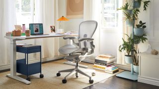 The Herman Miller Aeron chair in a home office