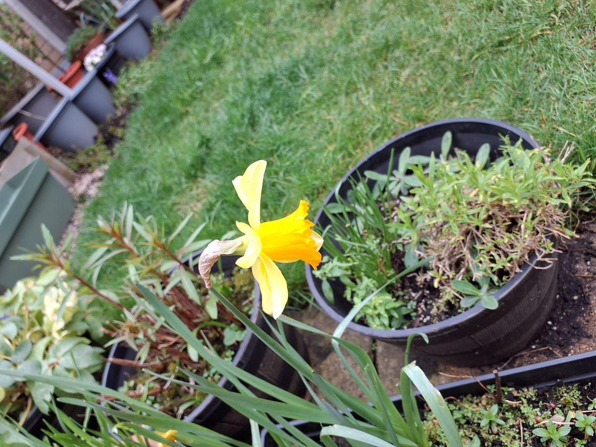 Example images from Samsung Galaxy Tab Active5