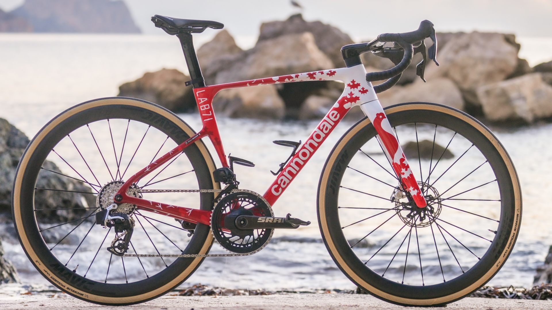 Alison Jackson's special-edition fifth-gen Cannondale SuperSix Evo