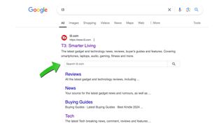 T3 Sitesearch box on Google