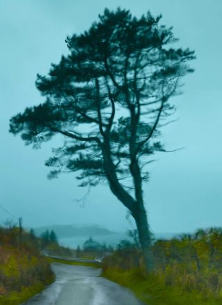 Albert Watson (Skye)