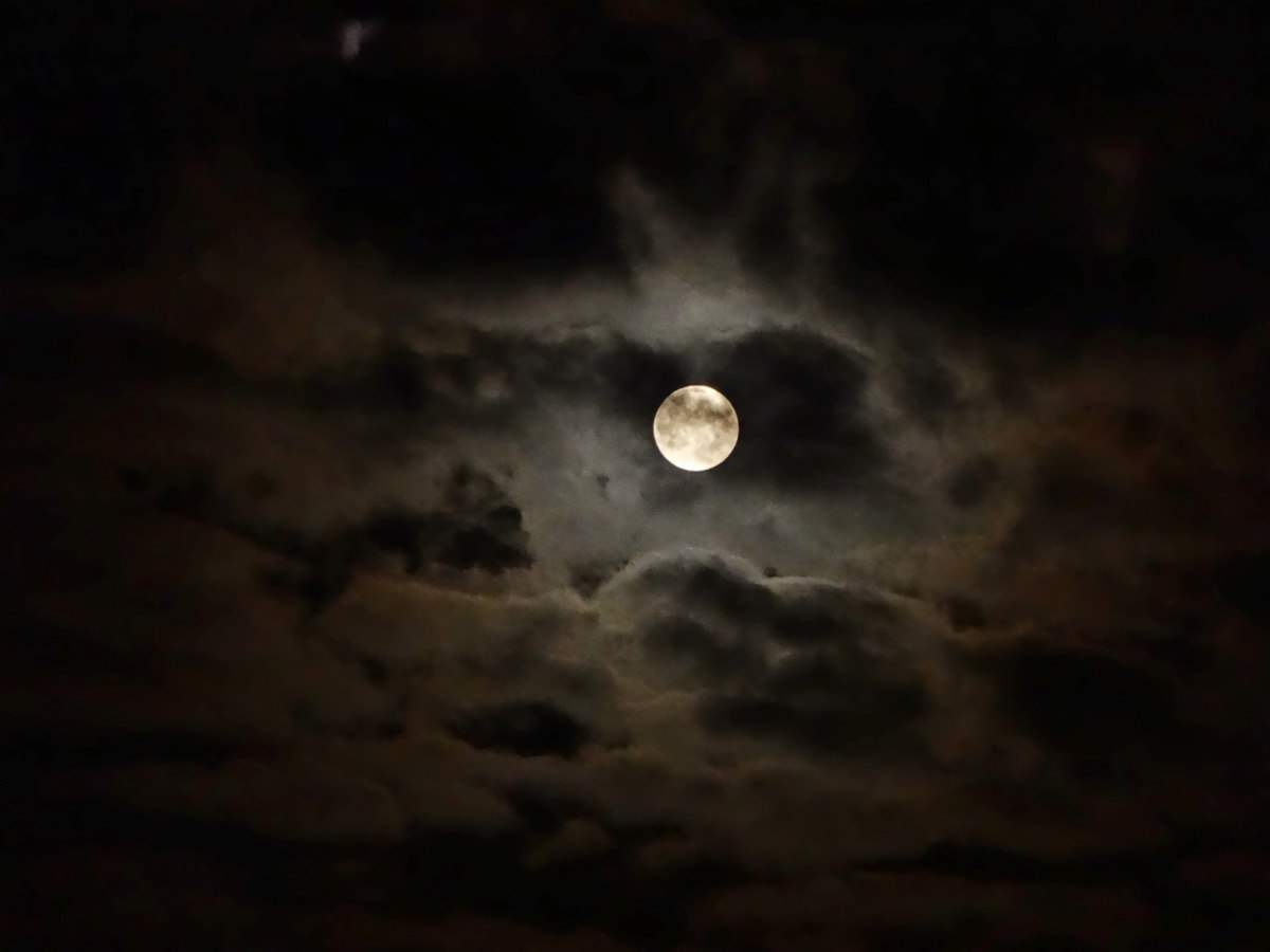 Sky watcher Elizabeth Therese Niwel sent in a photo of the moon taken August 20, 2013, in an undisclosed location.