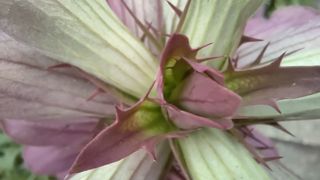 Red Magic 6R review: a flagship killer disguised as a gaming phone