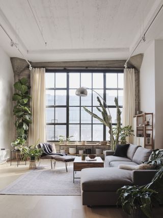 A living room with plants
