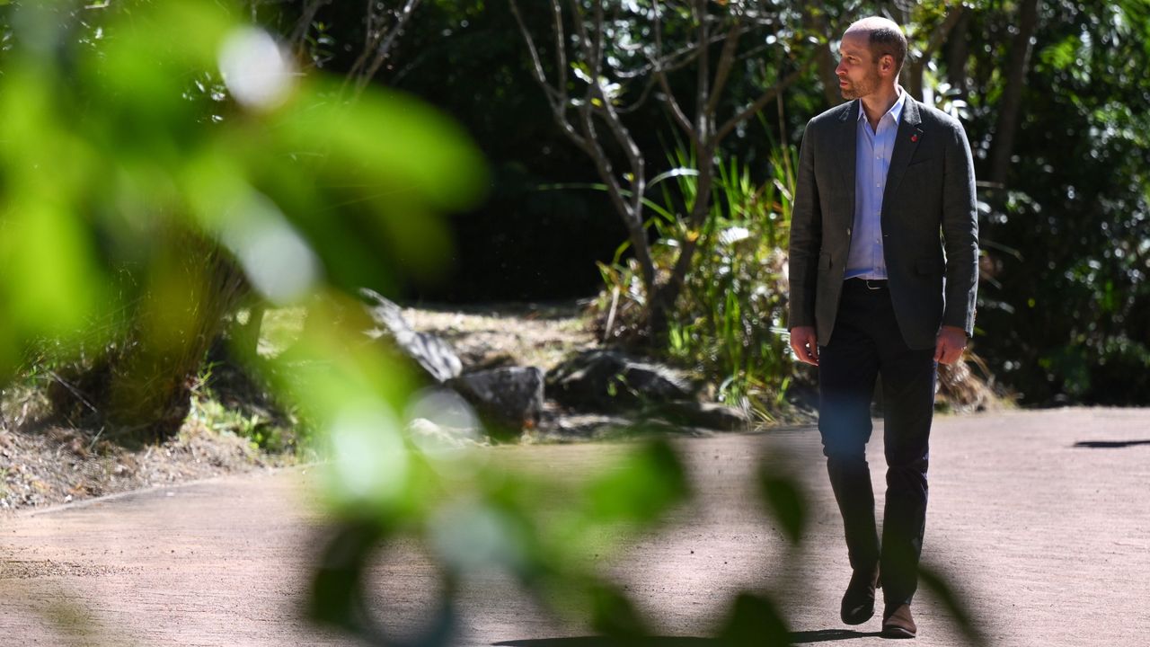 Prince William wearing a gray blazer and pants walking in the woods