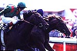 64E84574-6546-4EF6-A82F-53A989D783E5.jpg