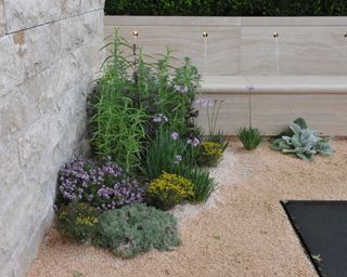 modern dry gravel garden and planting in urban space