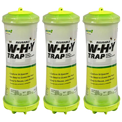 Rescue! Why Trap for Wasps, Hornets, &amp;amp; Yellowjackets &amp;ndash; Hanging Outdoor Trap - 3 Traps