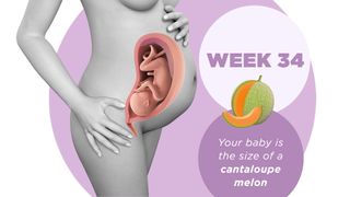 Pregnancy week by week 34