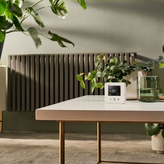 smart heating wiser on table with plant