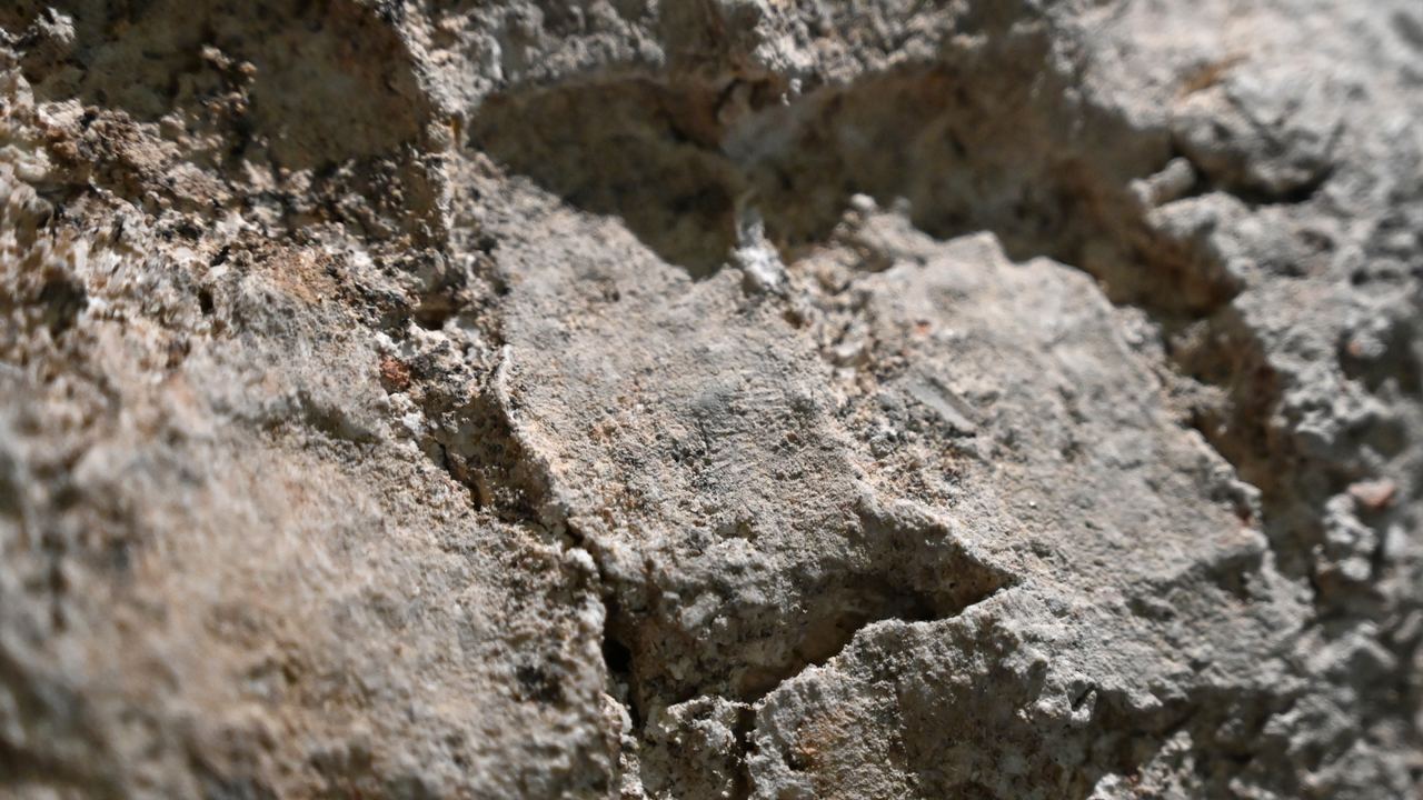 pieces of plaster with fingerprints in them