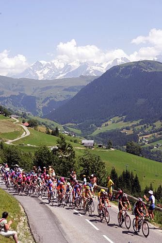 The yellow jersey group comes into site.