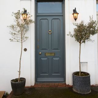 A grey front door with two potted bay trees