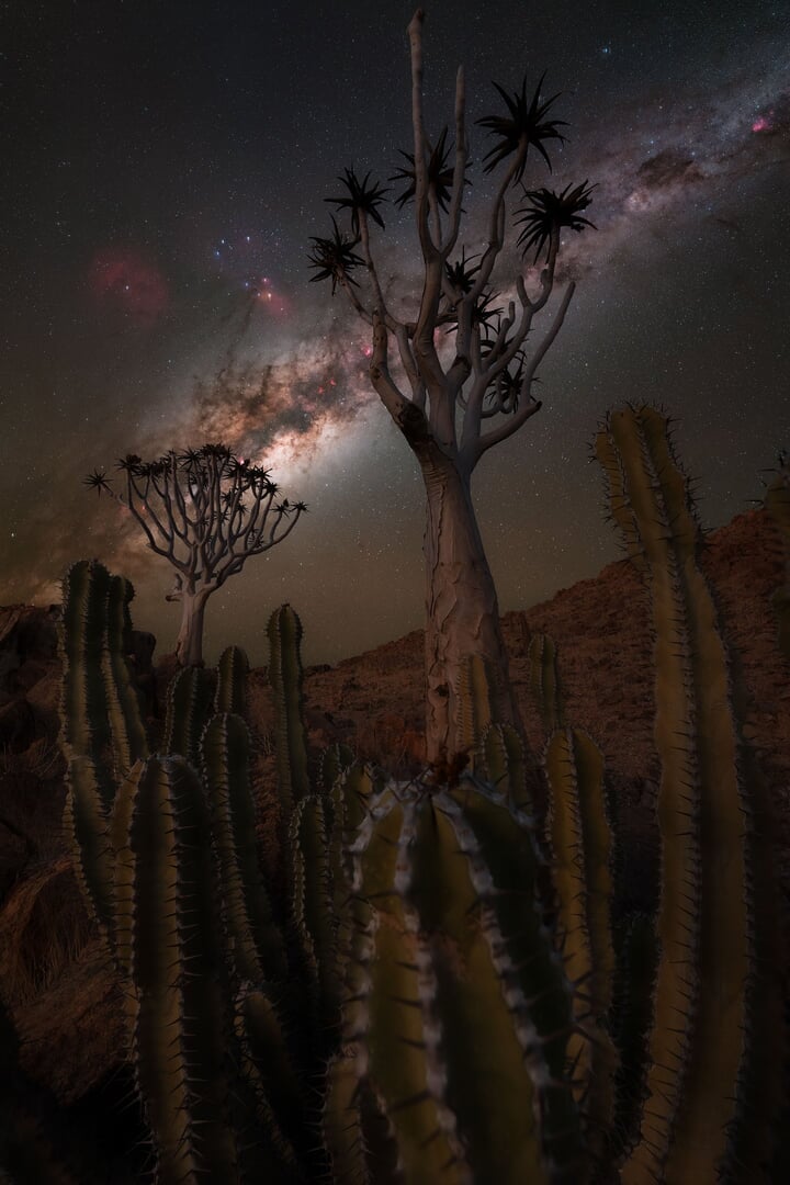 A photo of a desert landscape with strange trees and cacti, with the Milky Way visible in the night sky