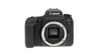 Best cheap camera: Canon EOS 77D