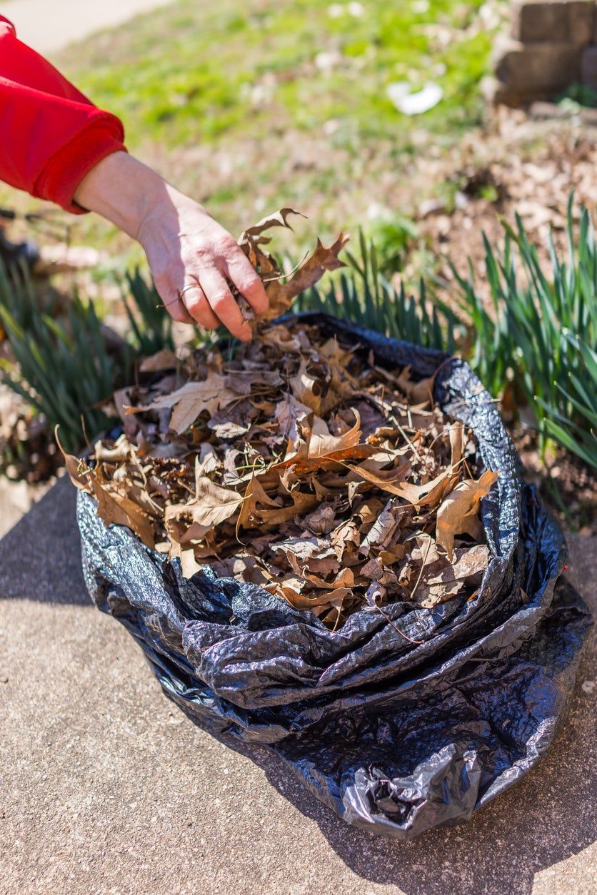 leaf mold