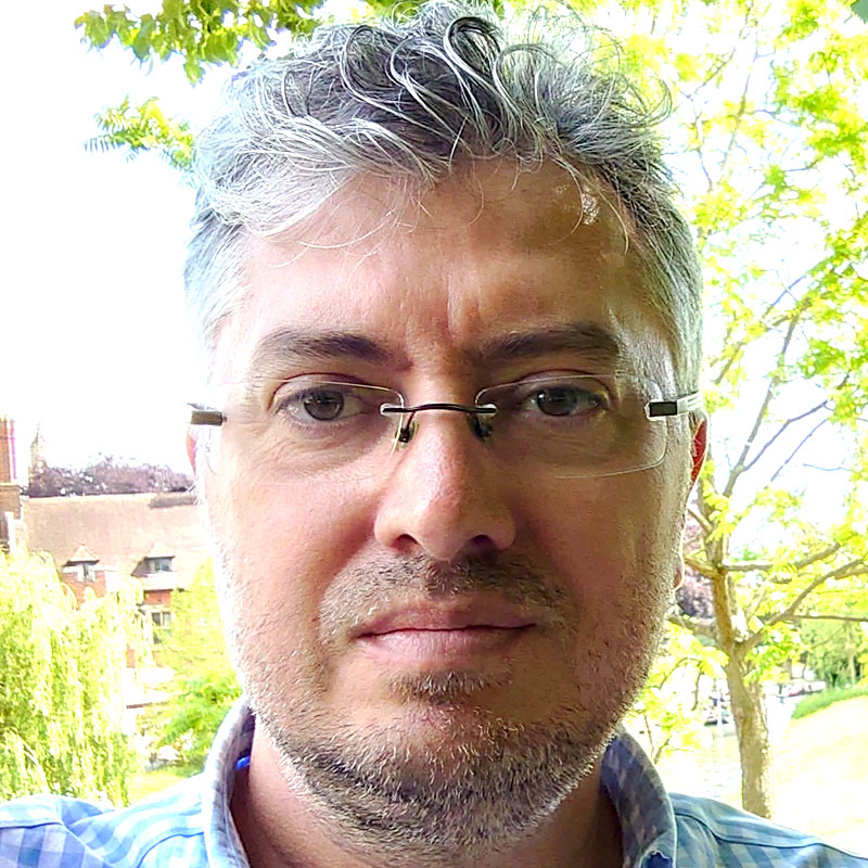 Viktor Velikov - Director of Elserve