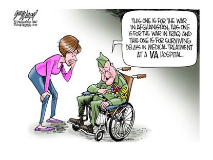Political cartoon veterans