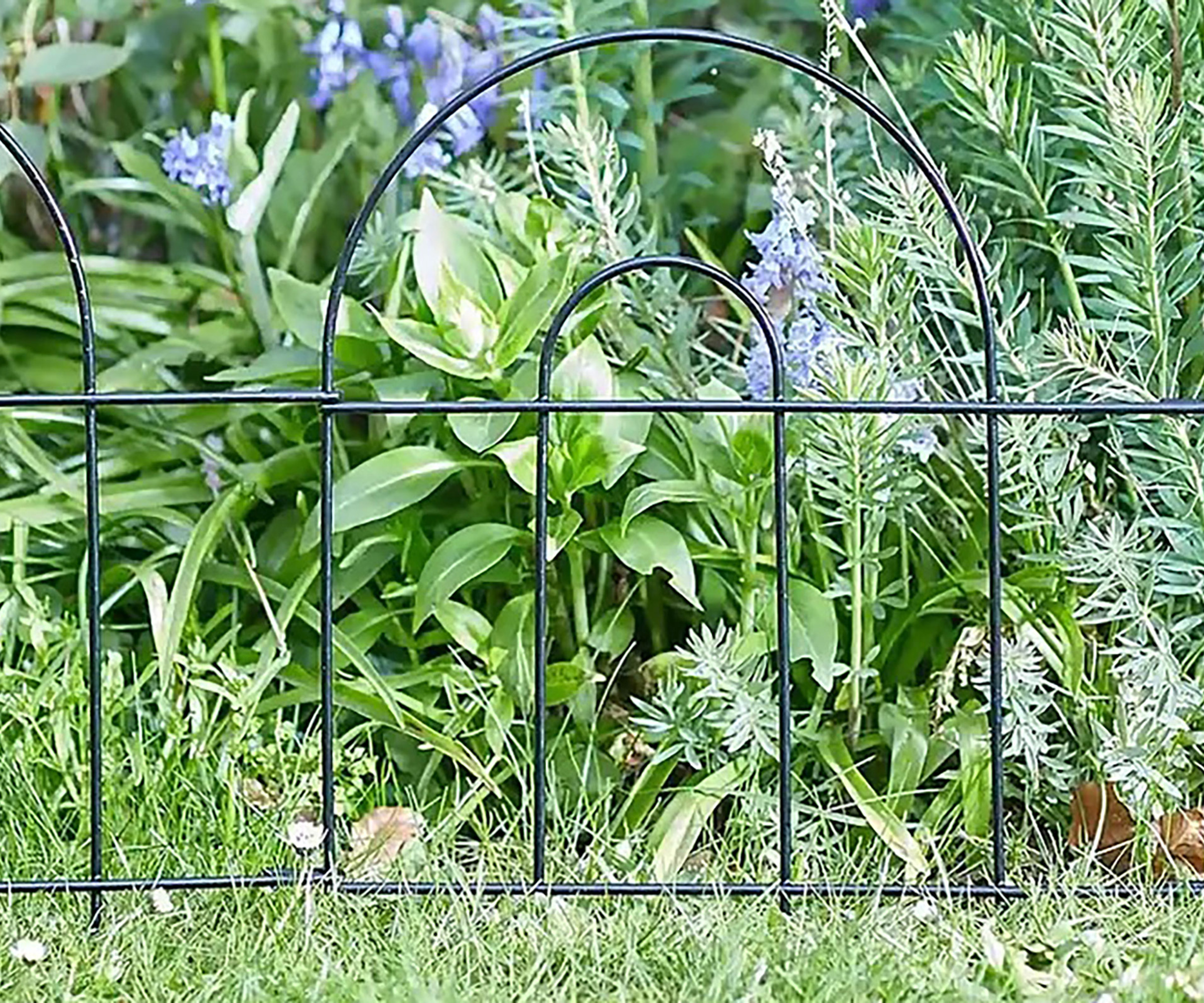 Mini wire fence used as garden edging
