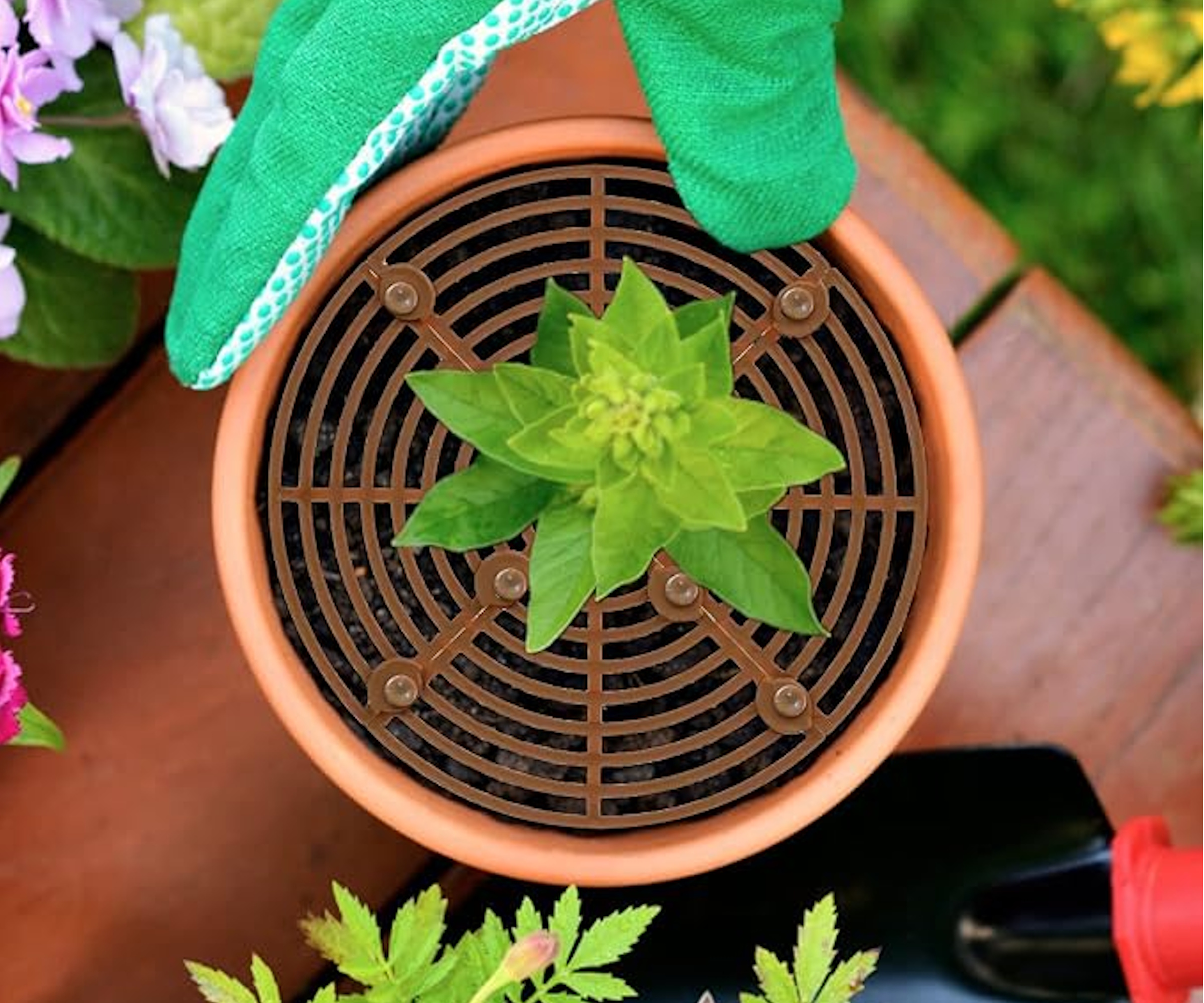 Amazon plant pot grid