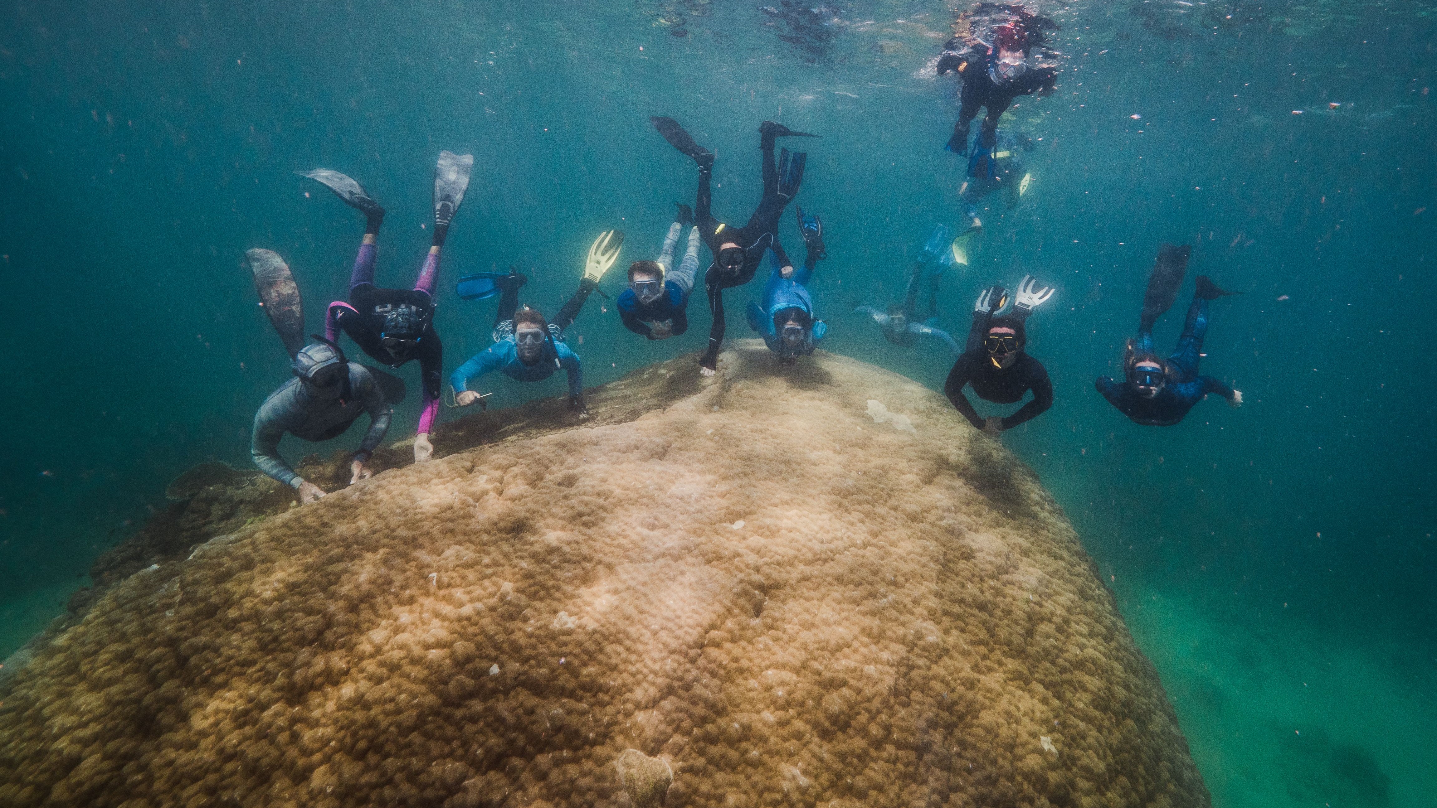 Researchers from NGO Reef Ecologic alongside Muga dhambi.