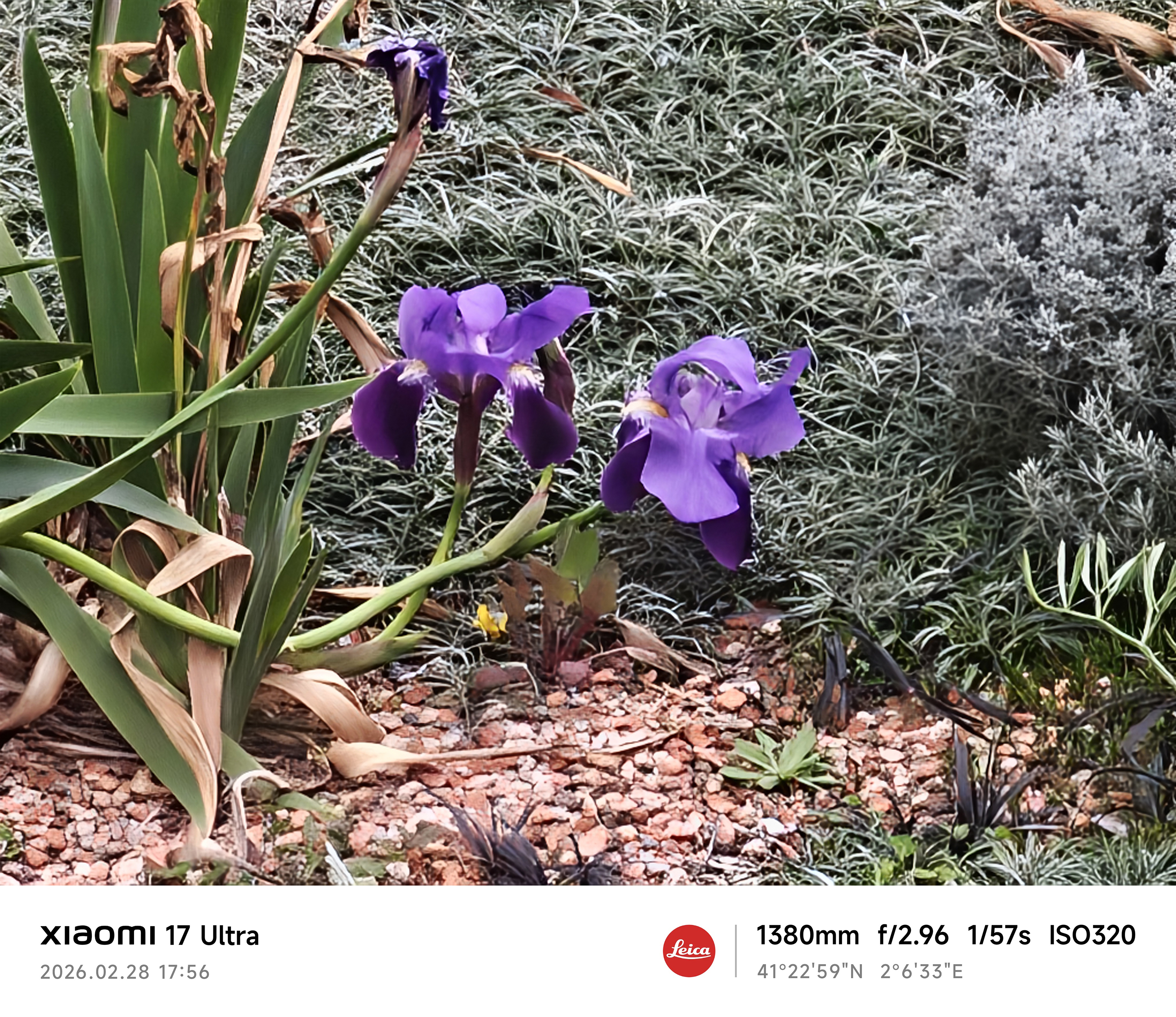 Xiaomi 17 Ultra camera sample zoom 60x 10MB