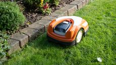 A robot lawnmower mowing grass next to a border