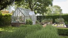A greenhouse stands at the end of a raised bed vegetable garden, surrounded by large hedges