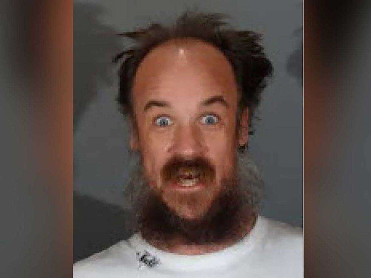 Air horn harasser finally arrested The Week