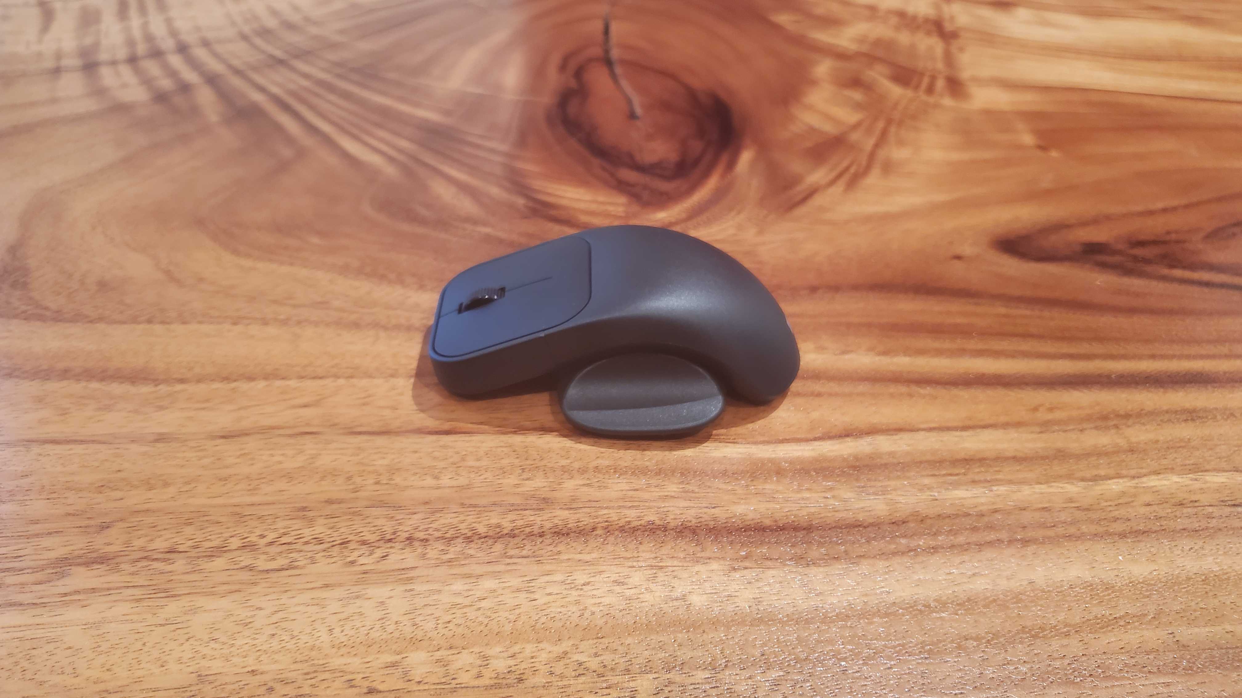 adaptive mouse tail/thumb rest