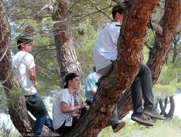Some of the best viewing was from the trees