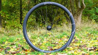Hunt 42 Limitless Gravel Adventure wheel on leafy grass