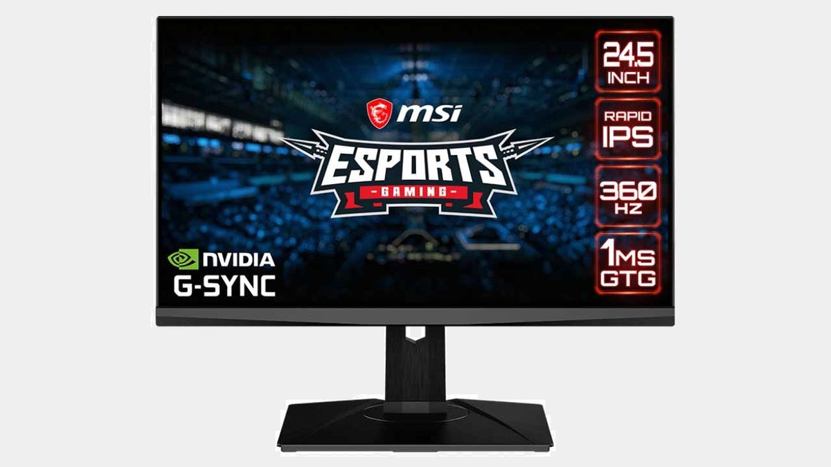 MSI Full HD 1920 x 1080 360Hz 0.5ms Built-in USB Hub DisplayPort HDMI  G-Sync Technology Built-in RGB Narrow Bezel LED Backlit Gaming Monitor  (Oculux NXG253R) (OculuxNXG253R) 