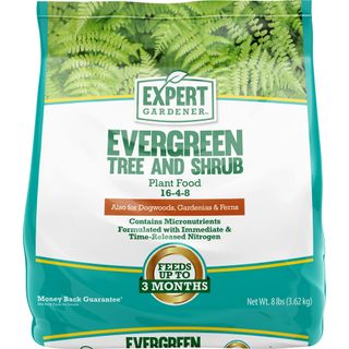 Evergreen Tree & Shrub Plant Food