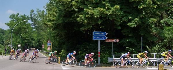 Riders about to tackle the tough Collalto climb.