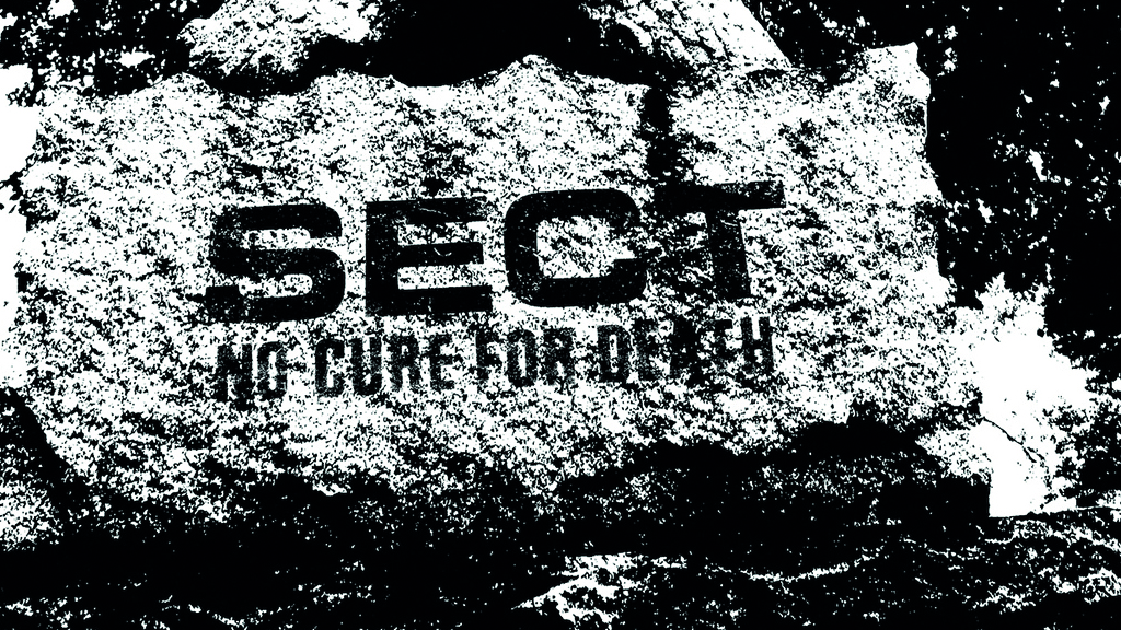 Cover art for Sect - No Cure For Death album