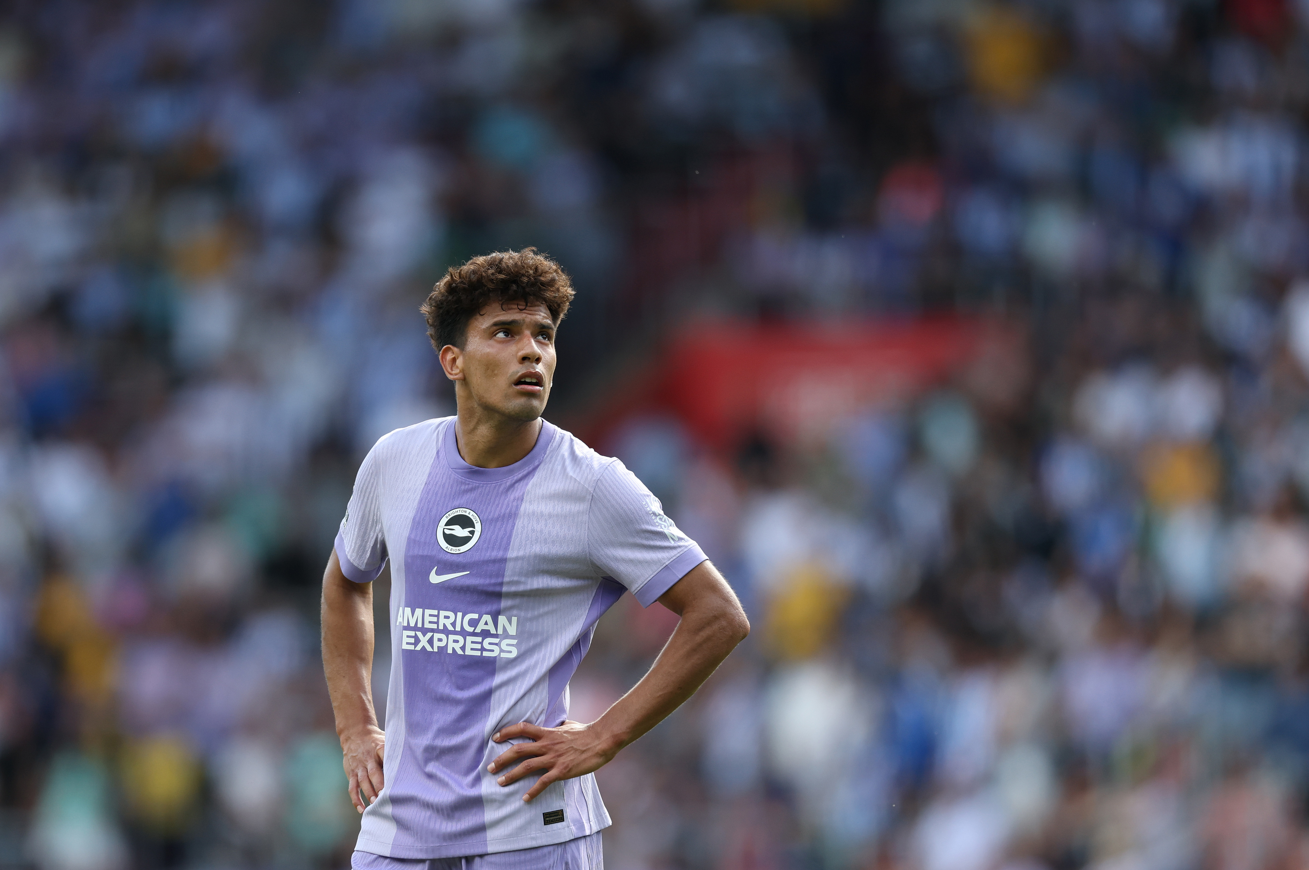 Diego Gomez is Brighton's 'One To Watch' in 2025-26