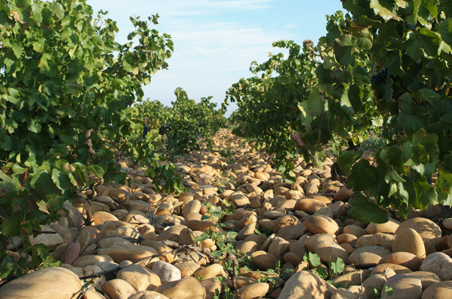 Southern Rh&amp;ocirc;ne 2016, Lirac