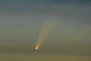 Comet McNaught at Dusk