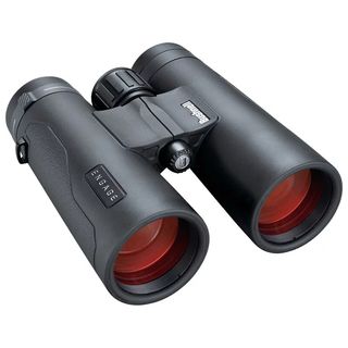 Bushnell Engage EDX 8x42 against white background