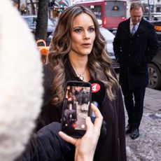 Princess Sofia Epstein files