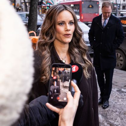 Princess Sofia Epstein files