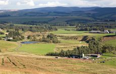 scottish borders sporting estate