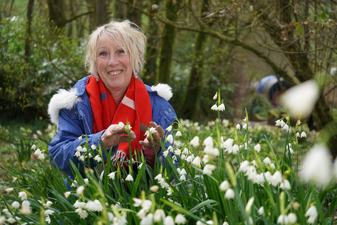 Spring Gardening with Carol Klein: tips, advice what happens | What to ...