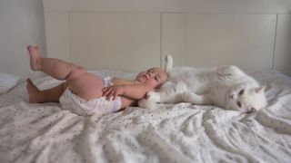 A baby lies on a bed next to a white cat