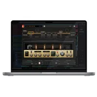 Positive Grid BIAS Amp 2Amps 60+ | Effects N/A