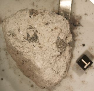 Astronauts collected this 3.77 billion-year-old ancient regolith breccia at the Apollo 16 landing site. The sample contains fragments of the asteroids that bombarded the Earth-moon system.