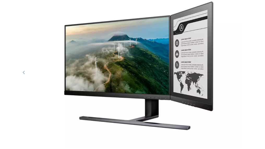 Holy multitasking, Batman! Philips slapped an e-reader onto a monitor