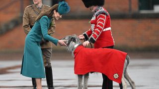 Catherine, Princess of Wales meets with Irish Wolf Hound 'Turlough Mor'