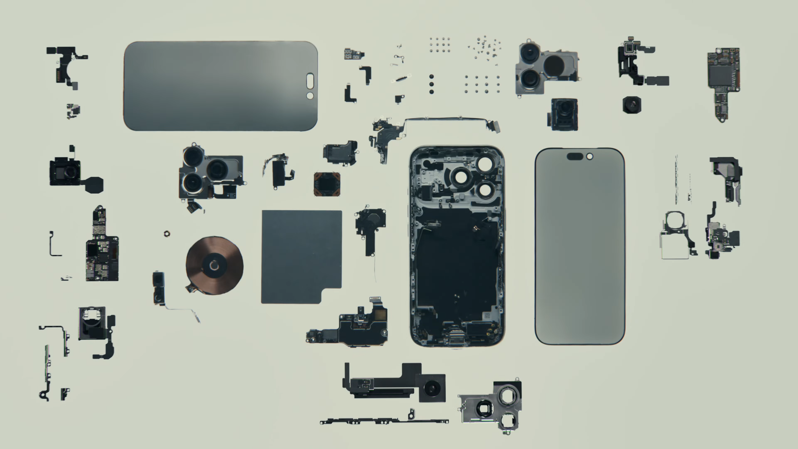 iPhone disassembled on a light table.